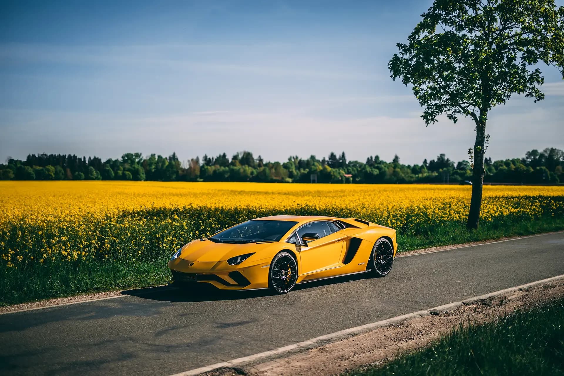 2018 Lamborghini Aventador S